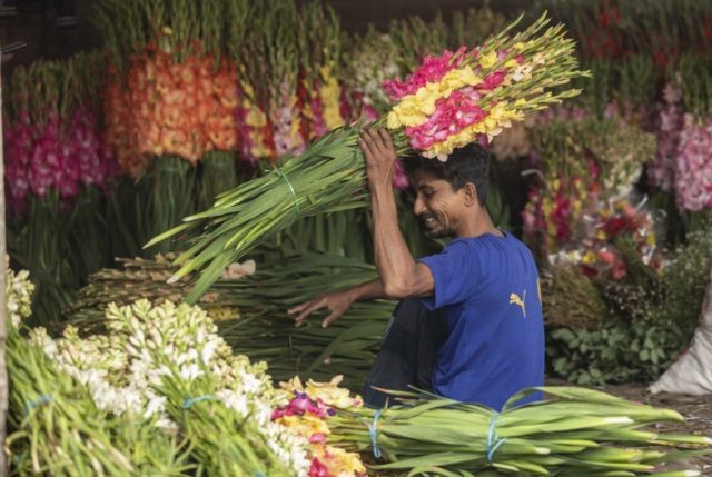 Misery or Pleasure for Flower Farmers?