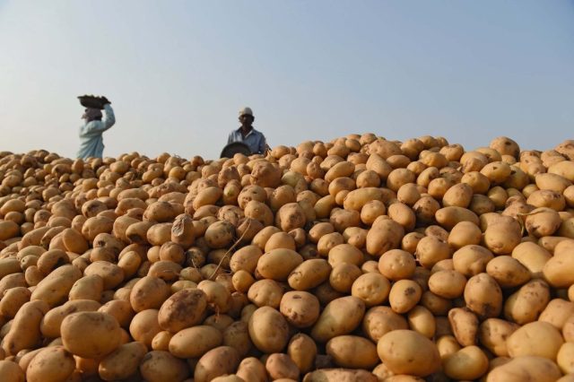 Russia Restarts Potato Imports From Bangladesh