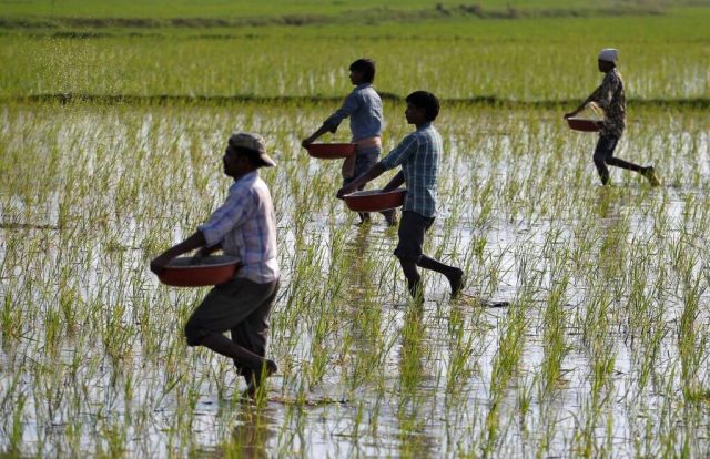 India Boosts Fertilizer imports From Canada