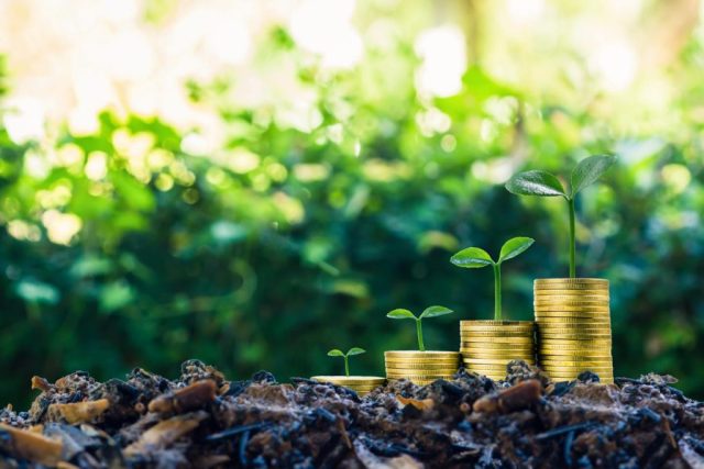 Sonali Bank Focusing on Green Finance For Entrepreneurs