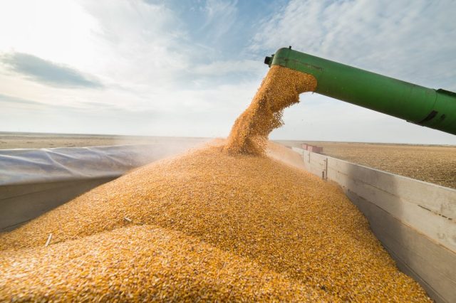 Russia Temporarily Banned Grain Exports