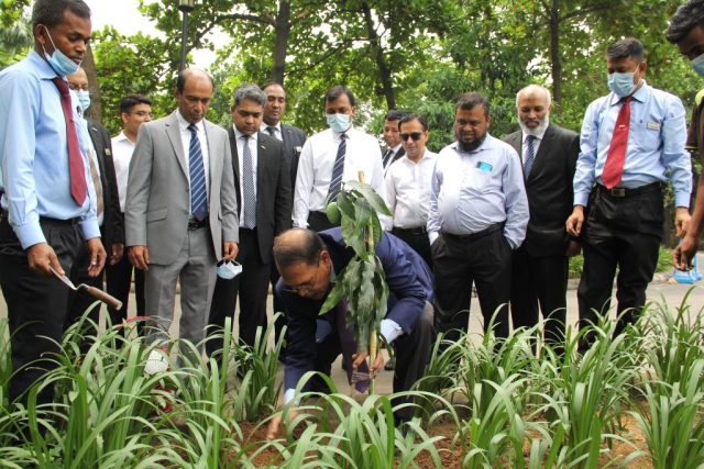 Radisson Blu Dhaka Water Garden Conducts Tree Plantation Drive