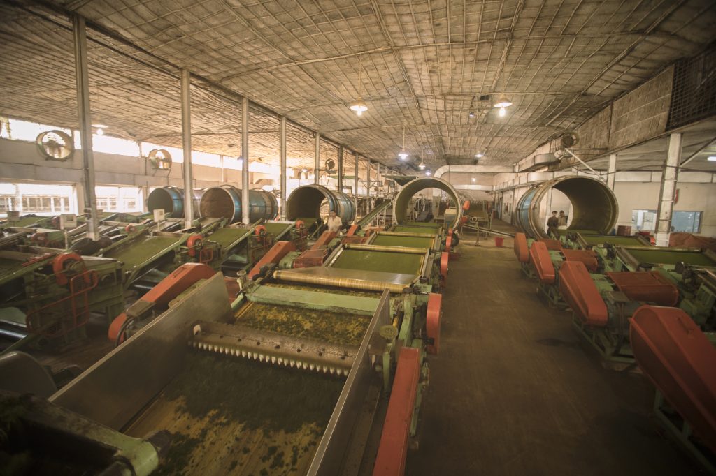 East Coast Group Photo No - 12 - Green Tea Factory - theincap