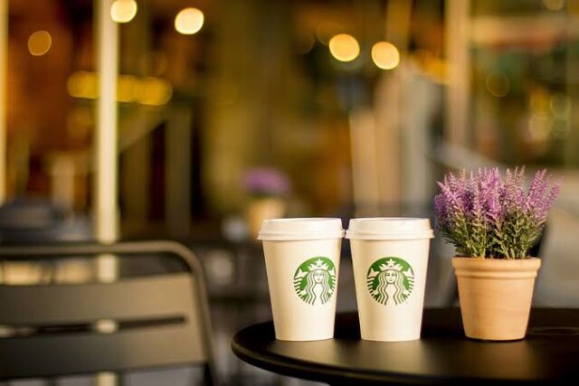 The alt text for the image could be: Two Starbucks coffee cups on a table with a small potted lavender plant, set against a blurred, cozy café background.